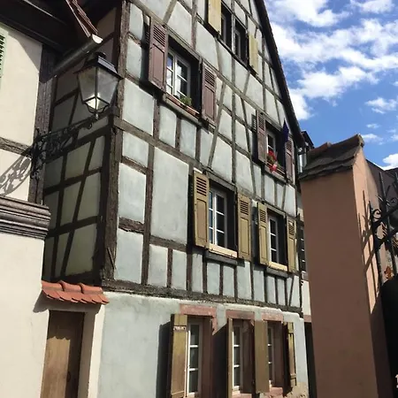 Au Coeur De La Petite Venise 科尔马