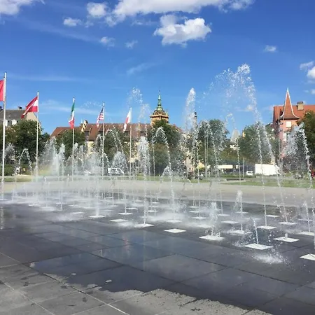 Au Coeur De La Petite Venise 科尔马